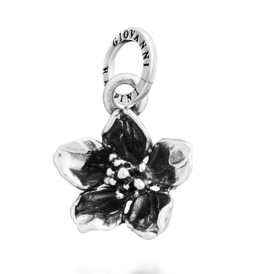 Charm Giovanni Raspini in Argento 12717 - 12717
